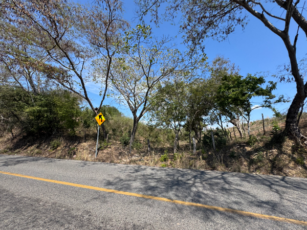 Terreno en renta en Coyuquilla, La Unión de Isidoro Montes de Oca — foto 2 de 14