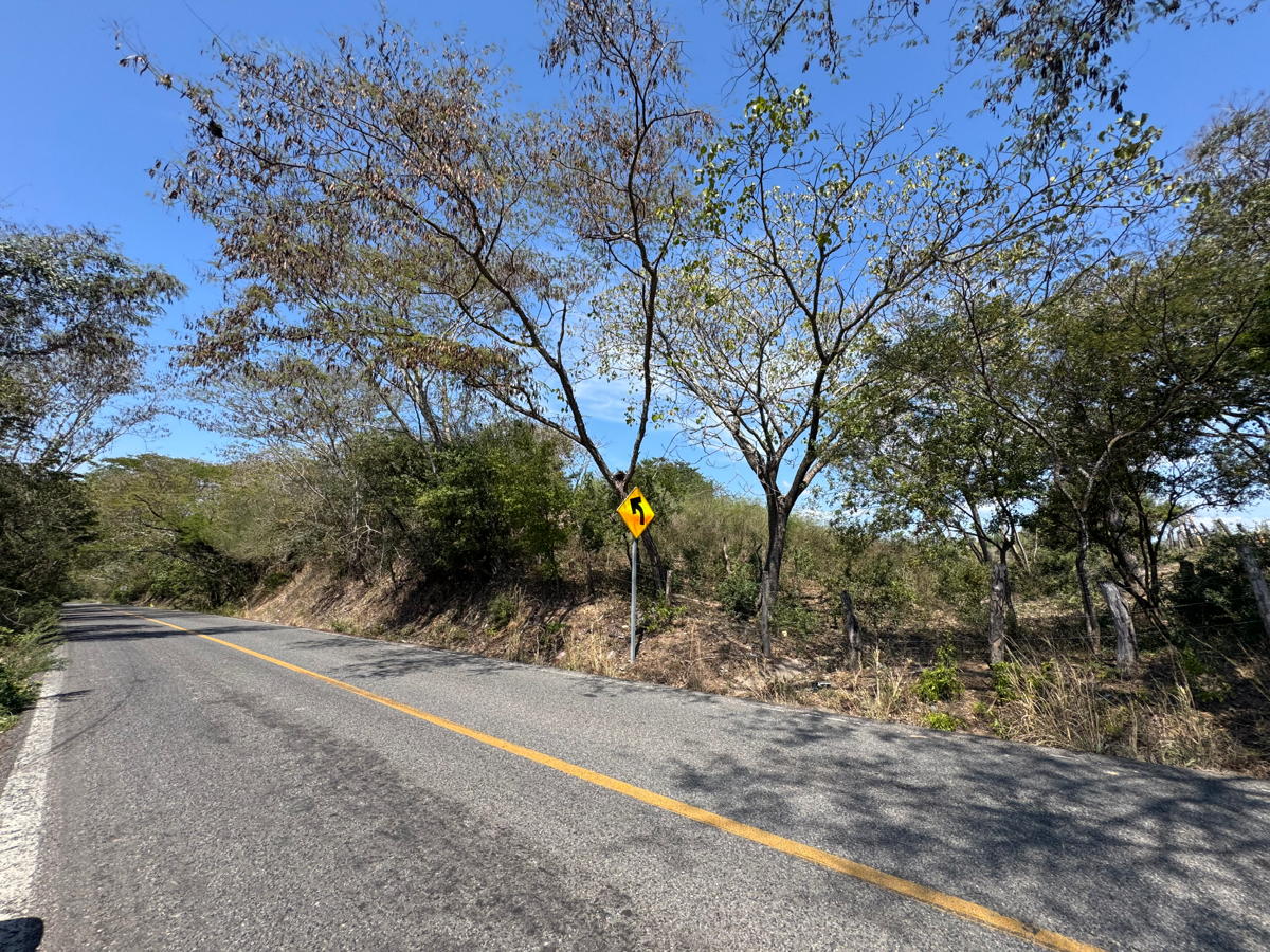 Terreno en renta en Coyuquilla, La Unión de Isidoro Montes de Oca — foto 1 de 14