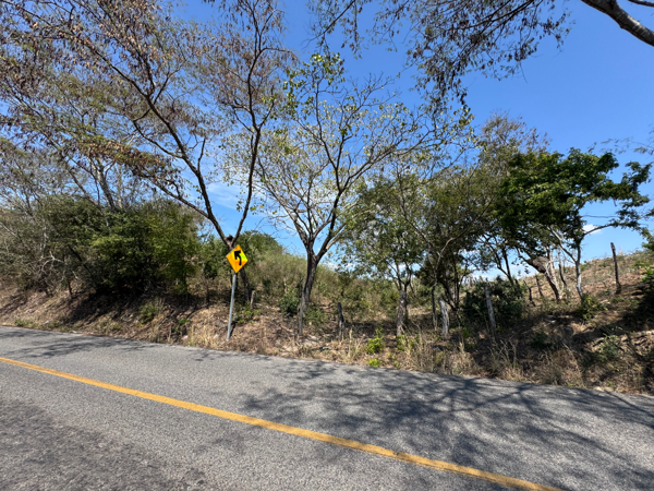 Terreno en renta en Coyuquilla, La Unión de Isidoro Montes de Oca — foto 3 de 14