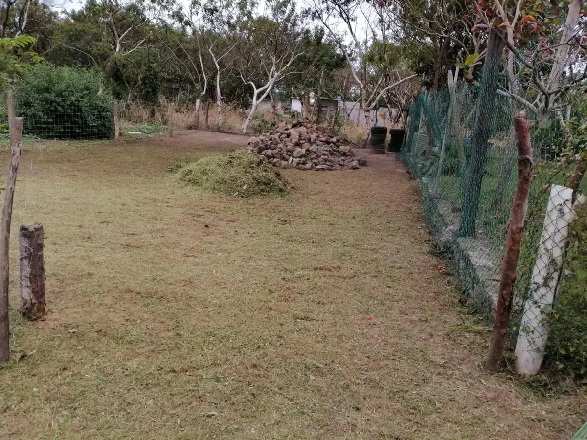 Terreno en venta en Paso Colorado, Boca del Río — foto 1 de 8