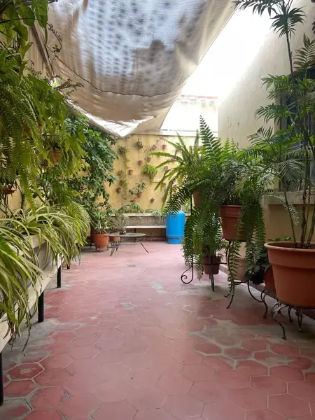 Casa en venta en Torreon Centro, Torreón — foto 3 de 18