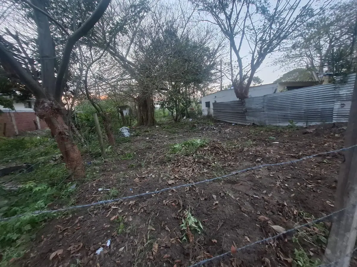 Terreno en venta en El Zapote, Alvarado — foto 1 de 4