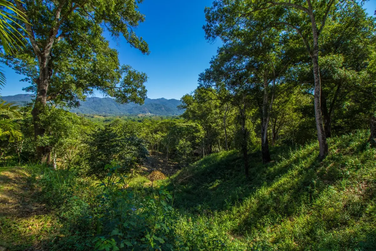 Terreno en venta en El Tuito, Cabo Corrientes — foto 1 de 9