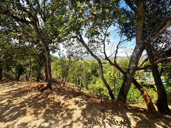 Terreno en venta en El Tuito, Cabo Corrientes — foto 2 de 9