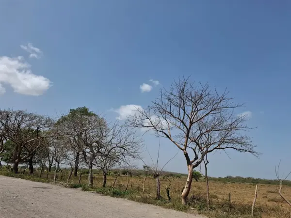 Terreno en venta en Villarin, Veracruz — foto 2 de 15