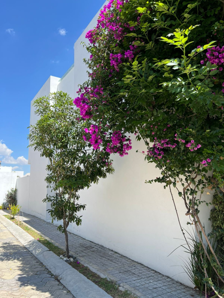 Casa en venta en Lomas de Angelópolis, San Andrés Cholula — foto 2 de 11