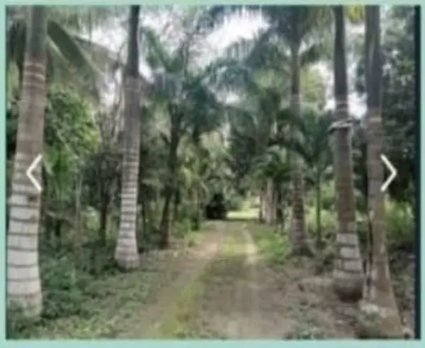 Terreno en venta en Bacalar Centro, Bacalar — foto 2 de 5
