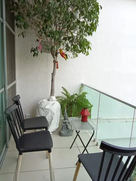 Casa en renta en Jacarandas, Cuernavaca — foto 3 de 9