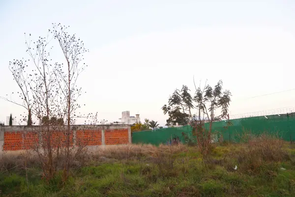 Terreno en venta en San Miguel Xoxtla, San Miguel Xoxtla — foto 2 de 12