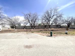 Terreno en venta en Las Trojes, Torreón — foto 3 de 7