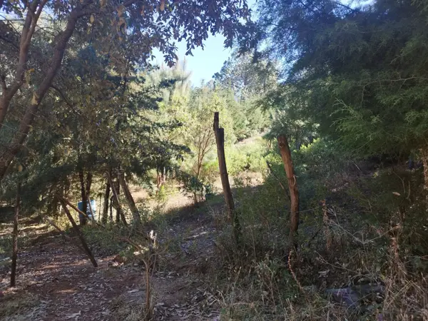 Terreno en venta en Mazamitla, Mazamitla — foto 2 de 5