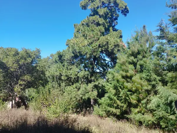 Terreno en venta en Mazamitla, Mazamitla — foto 3 de 5