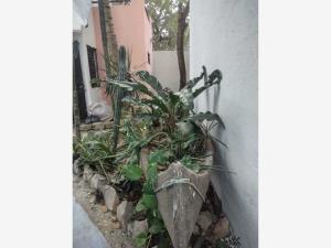 Departamento en renta en Bellavista, Solidaridad — foto 2 de 9