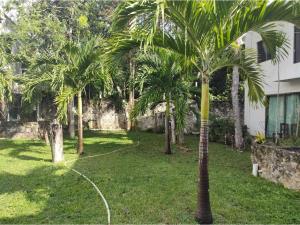 Casa en venta en Los Arrecifes, Solidaridad — foto 2 de 17