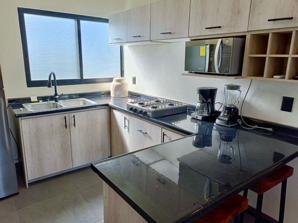 Departamento en renta en Nuevo Ixtapa, Puerto Vallarta — foto 3 de 15