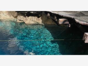 Terreno en venta en Manuel Antonio Ay, Tulum — foto 3 de 7