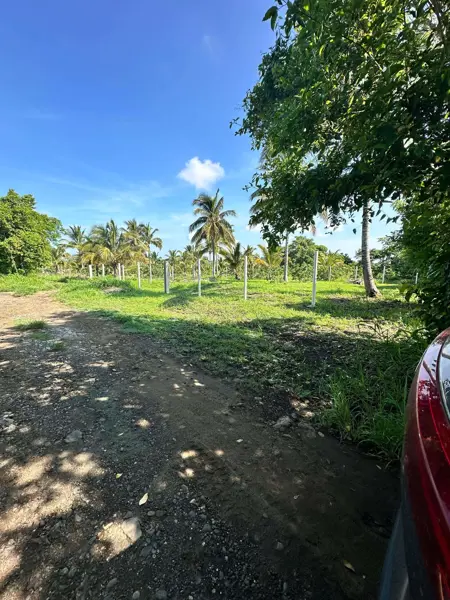 Terreno en venta en Cazones de Herrera Centro, Cazones de Herrera — foto 3 de 4