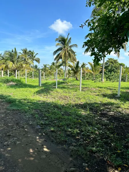 Terreno en venta en Cazones de Herrera Centro, Cazones de Herrera, Veracruz de Ignacio de la Llave