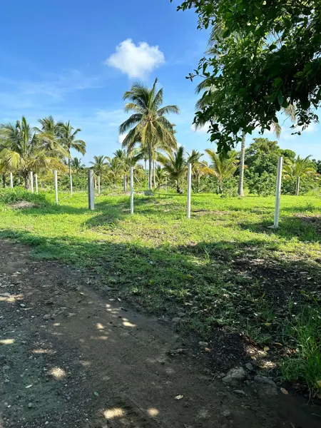 Terreno en venta en Cazones de Herrera Centro, Cazones de Herrera — foto 2 de 4