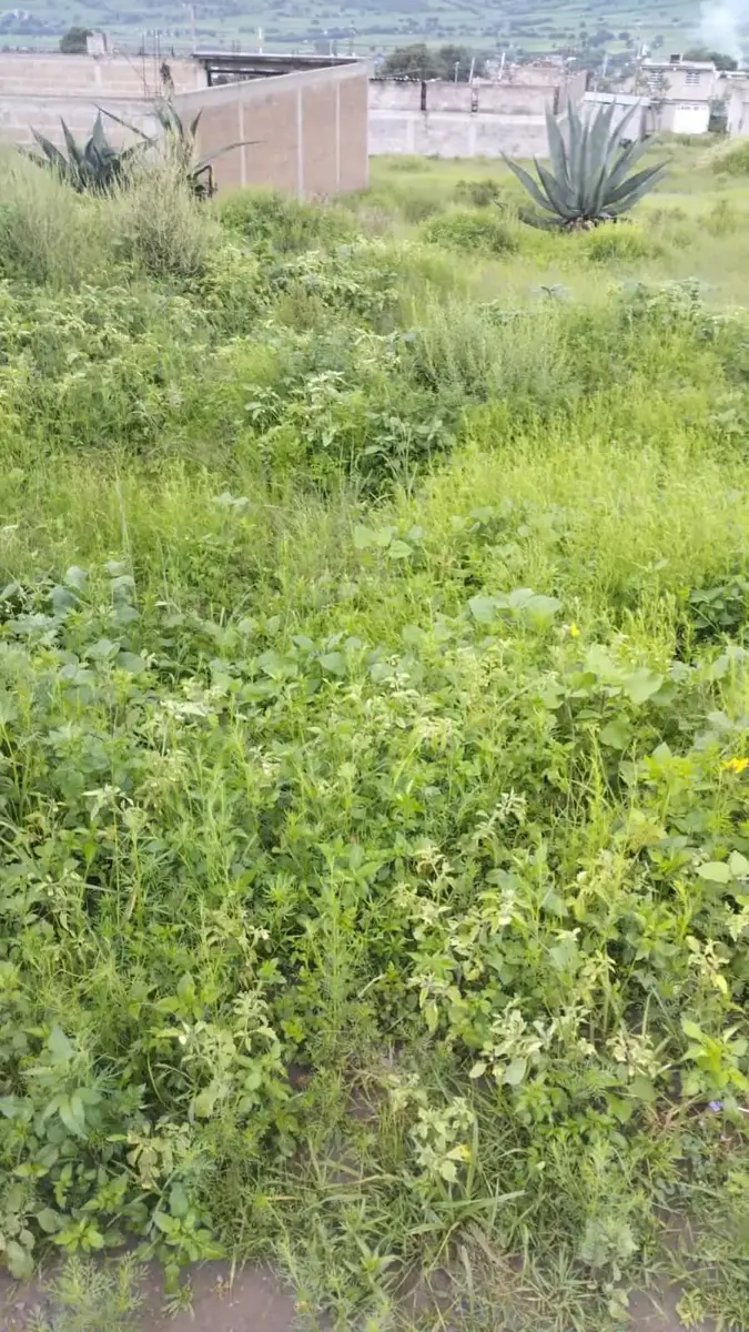 Terreno en venta en Francisco Santillán (Atzizintla Tres), Ixtapaluca — foto 1 de 4
