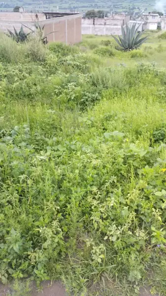 Terreno en venta en Francisco Santillán (Atzizintla Tres), Ixtapaluca, México