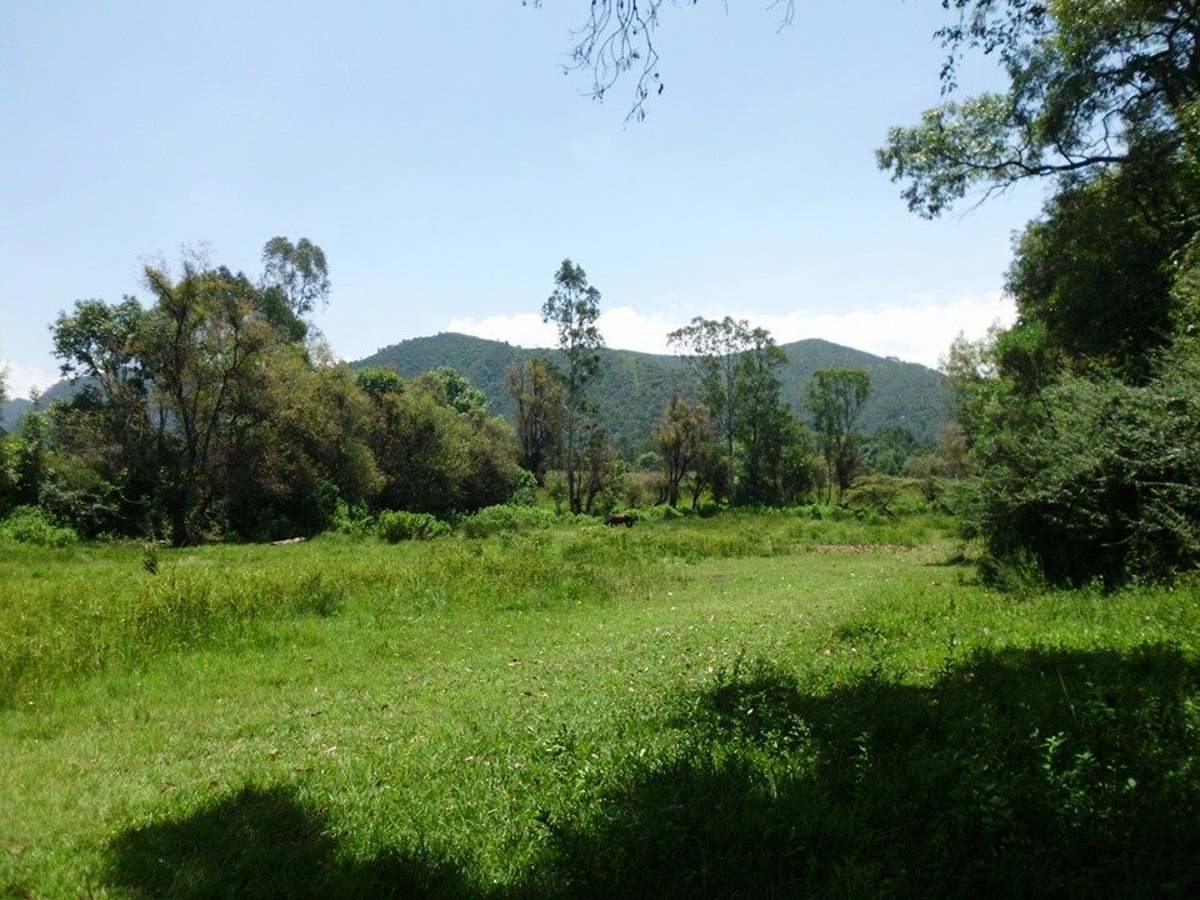 Finca-Rancho en venta en Santa Magdalena Tiloxtoc, Valle de Bravo — foto 1 de 9