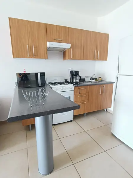 Departamento en renta en Las Ceibas, Bahía de Banderas — foto 3 de 20