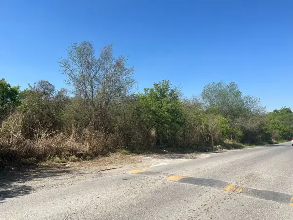 Terreno en venta en Río Ramos, Allende — foto 3 de 6