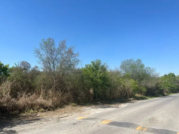 Terreno en venta en Río Ramos, Allende — foto 2 de 6