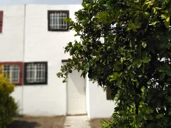 Casa en renta en San Juan del Río, Qro.
