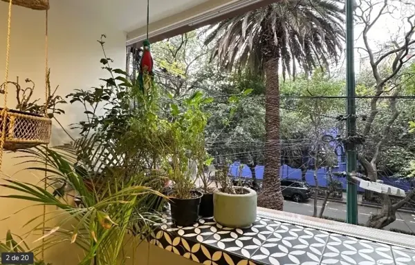 Departamento en renta en Hipódromo Condesa, Cuauhtémoc — foto 3 de 17
