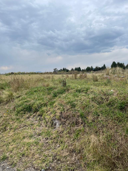 Terreno en venta en San Miguel Totocuitlapilco, Metepec — foto 3 de 5