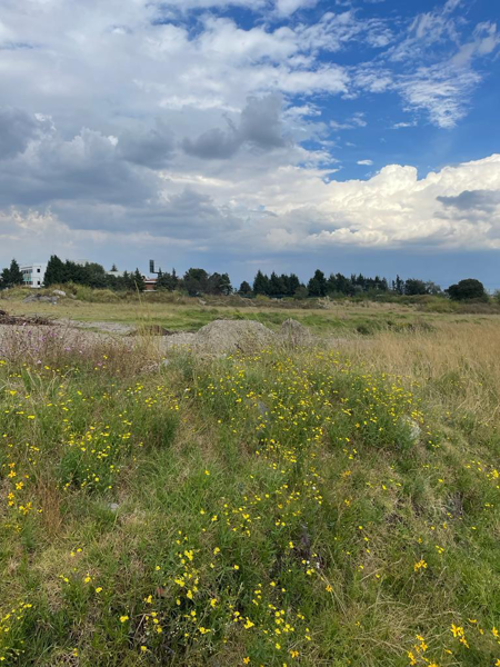 Terreno en venta en San Miguel Totocuitlapilco, Metepec — foto 2 de 5