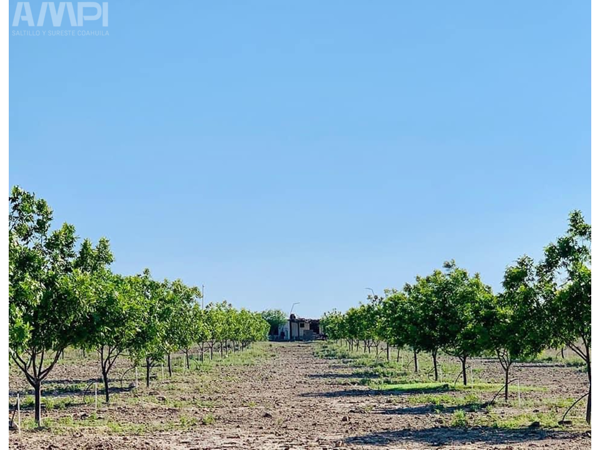 Finca-Rancho en venta en Santo Domingo, Ramos Arizpe — foto 2 de 12
