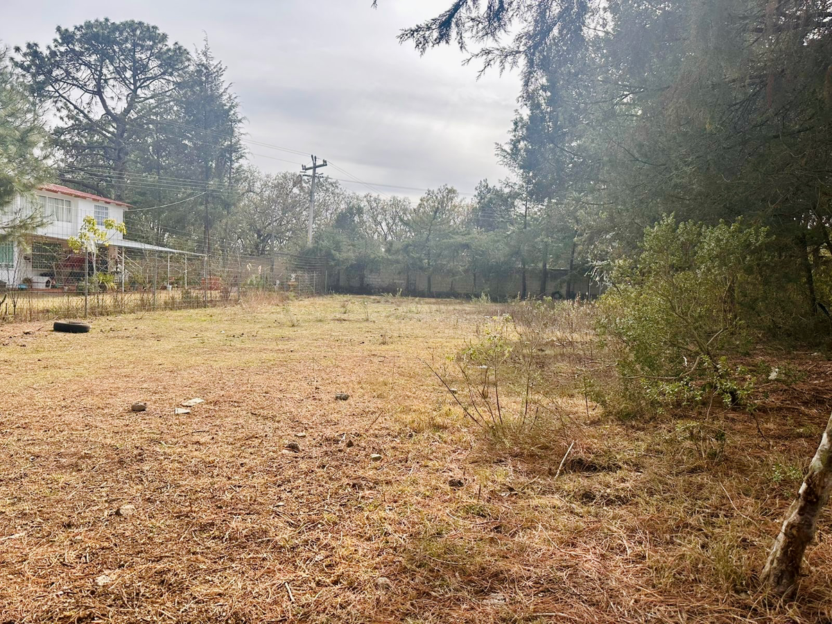 Terreno en venta en San José Ocotillos, Huasca de Ocampo — foto 1 de 11