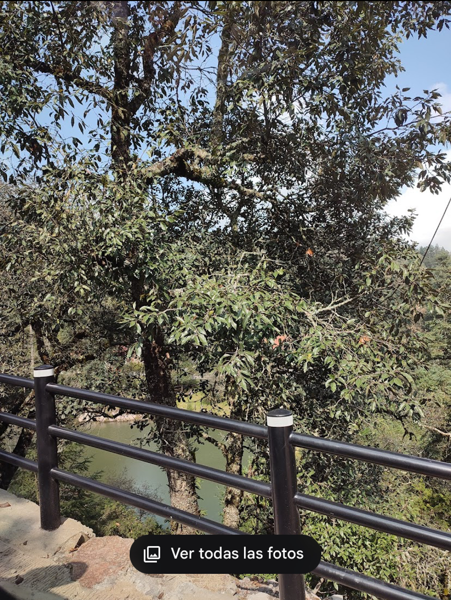Terreno en venta en Bosques de San Cayetano, Mineral del Monte — foto 1 de 9