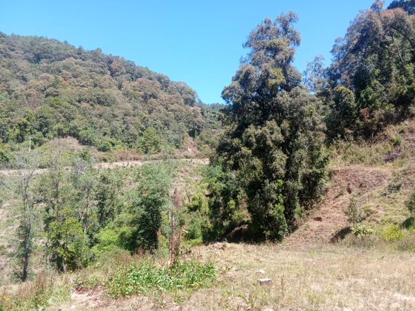 Terreno en venta en Tzitzio, Tzitzio — foto 3 de 11