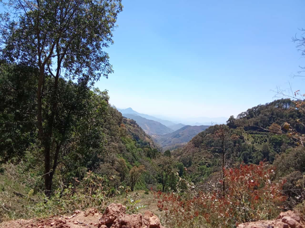 Terreno en venta en Tzitzio, Tzitzio — foto 2 de 11