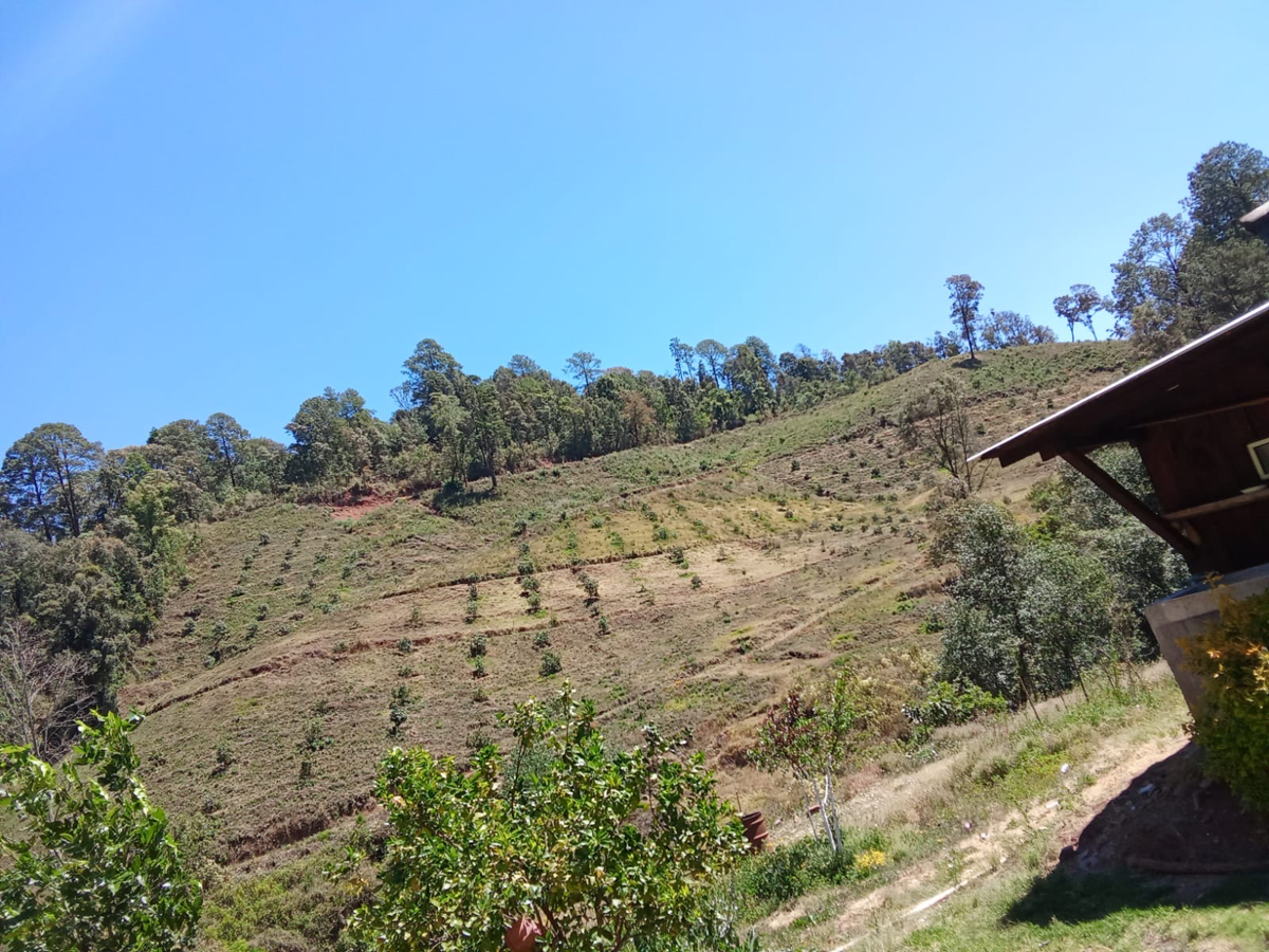 Terreno en venta en Tzitzio, Tzitzio — foto 1 de 11