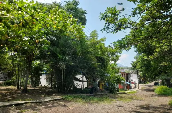 Casa en venta en Tepetapan, Catemaco, Veracruz de Ignacio de la Llave Casa en venta en Tepetapan, Catemaco, Veracruz de Ignacio de la Llave