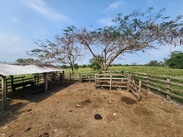 Terreno en venta en El Jobo (Escribano), Tampico Alto — foto 3 de 17