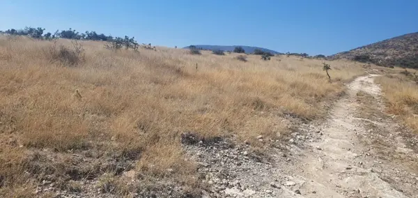 Terreno en venta en El Carmen, Tula de Allende — foto 3 de 5