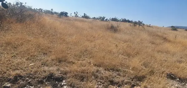 Terreno en venta en El Carmen, Tula de Allende — foto 2 de 5
