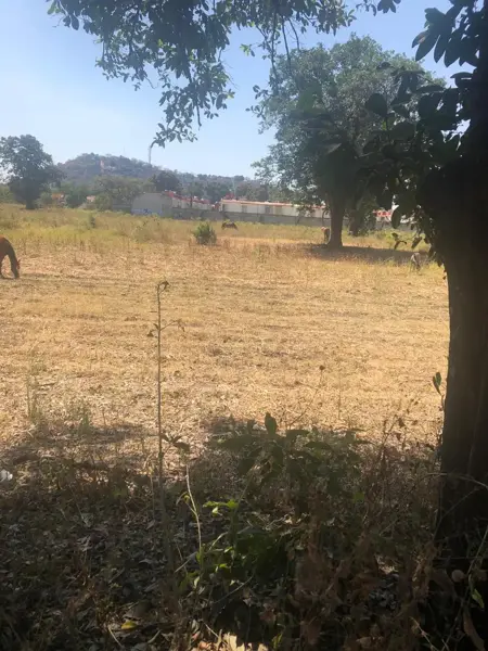 Terreno en venta en Residencial Yautepec, Yautepec — foto 3 de 3