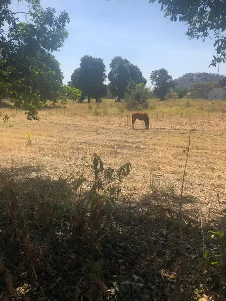 Terreno en venta en Residencial Yautepec, Yautepec — foto 2 de 3
