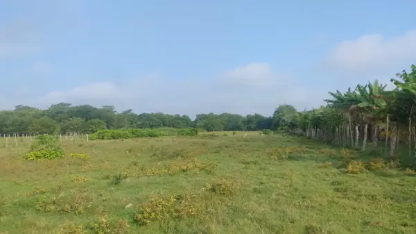 Terreno en venta en Lagartera 1ra Sección, Centro — foto 2 de 2