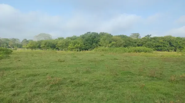 Terreno en Venta en Lagartera 1era. Sección Centro Tabasco