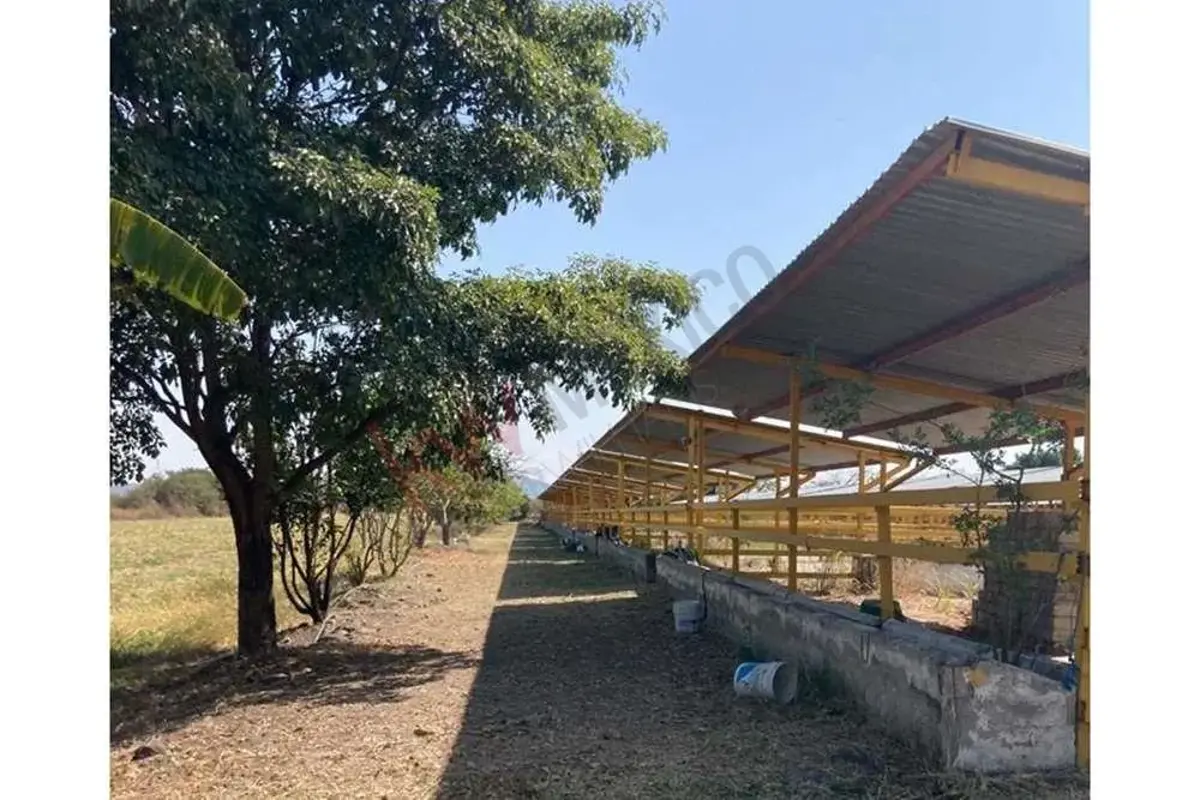 Finca-Rancho en venta en Tetecala, Tetecala — foto 1 de 32