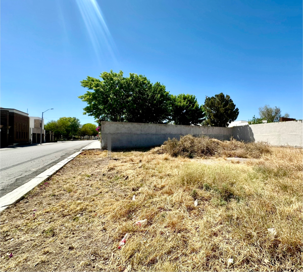 Terreno en venta en Residencial el Fresno, Torreón — foto 2 de 8