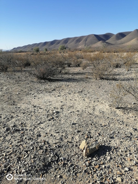 Terreno en venta en Las Mangas, Saltillo — foto 3 de 15